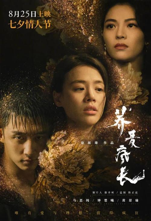 怎么购买中国银行流水电子版PDF
